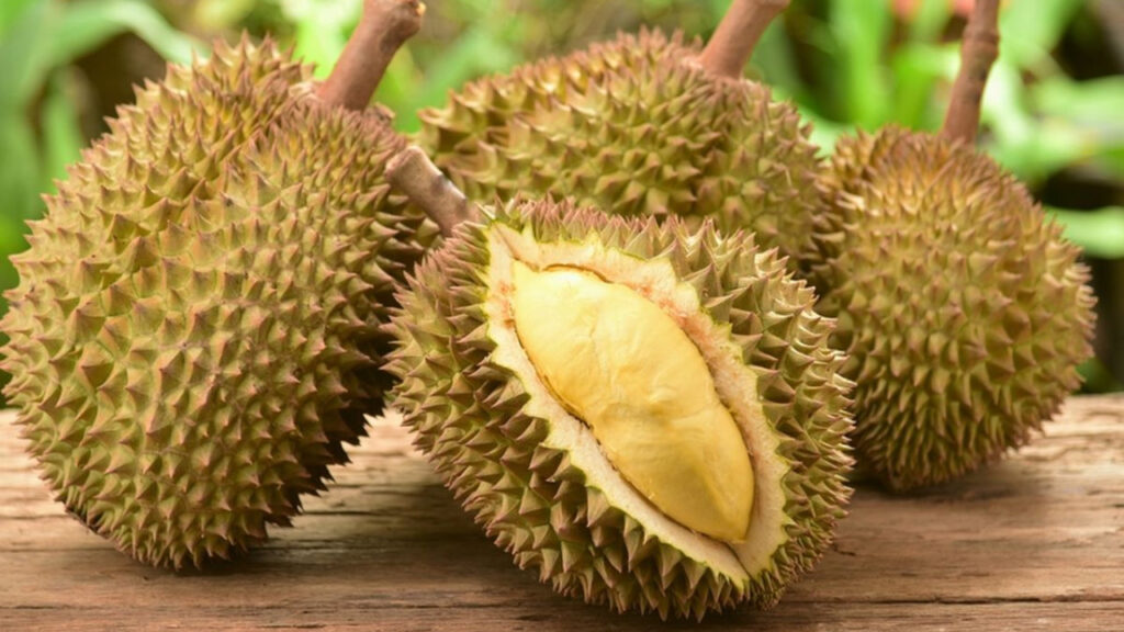 Jangan Keliru, Inilah Perbedaan Durian Medan dan Durian Montong